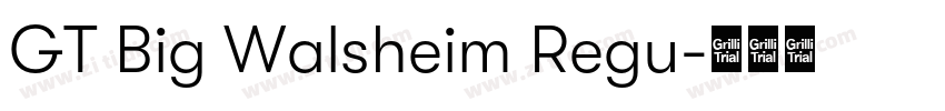 GT Big Walsheim Regu字体转换